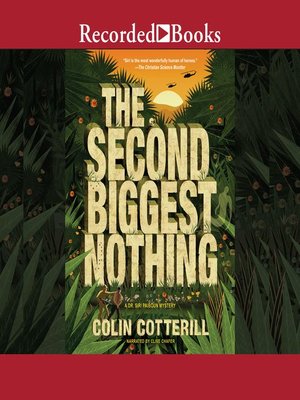 cover image of The Second Biggest Nothing